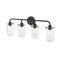 Z-Lite Delaney 4 Light Vanity, Matte Black & Clear 471-4V-MB - alternate 7